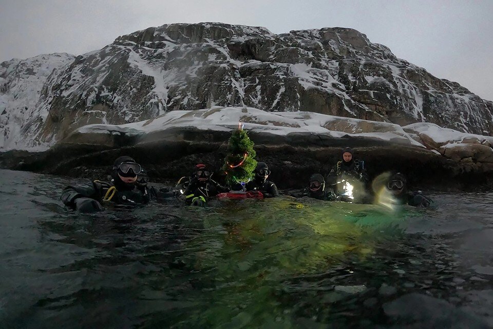    После погружения елочку забрали с собой, чтобы не мусорить. Фото: vk.com/divingclubseahunter