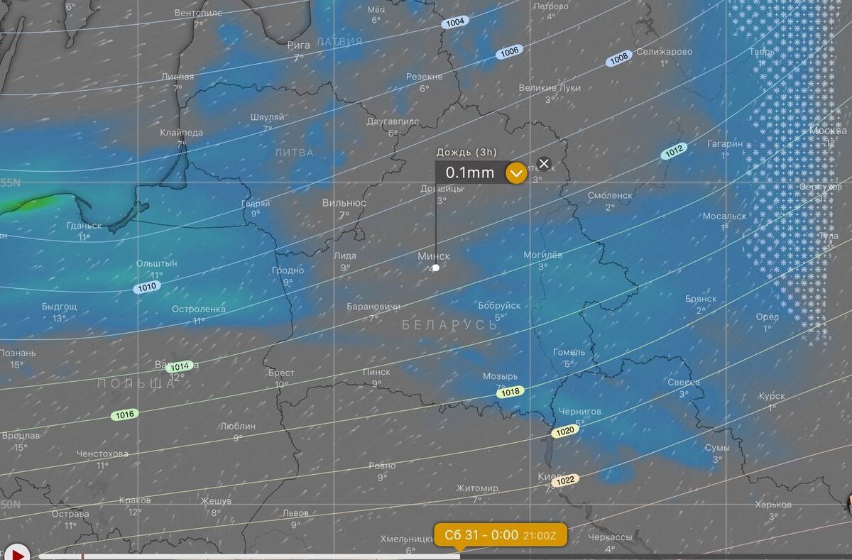 Стало известно, какой будет погода на Новый год в Беларуси - Фото