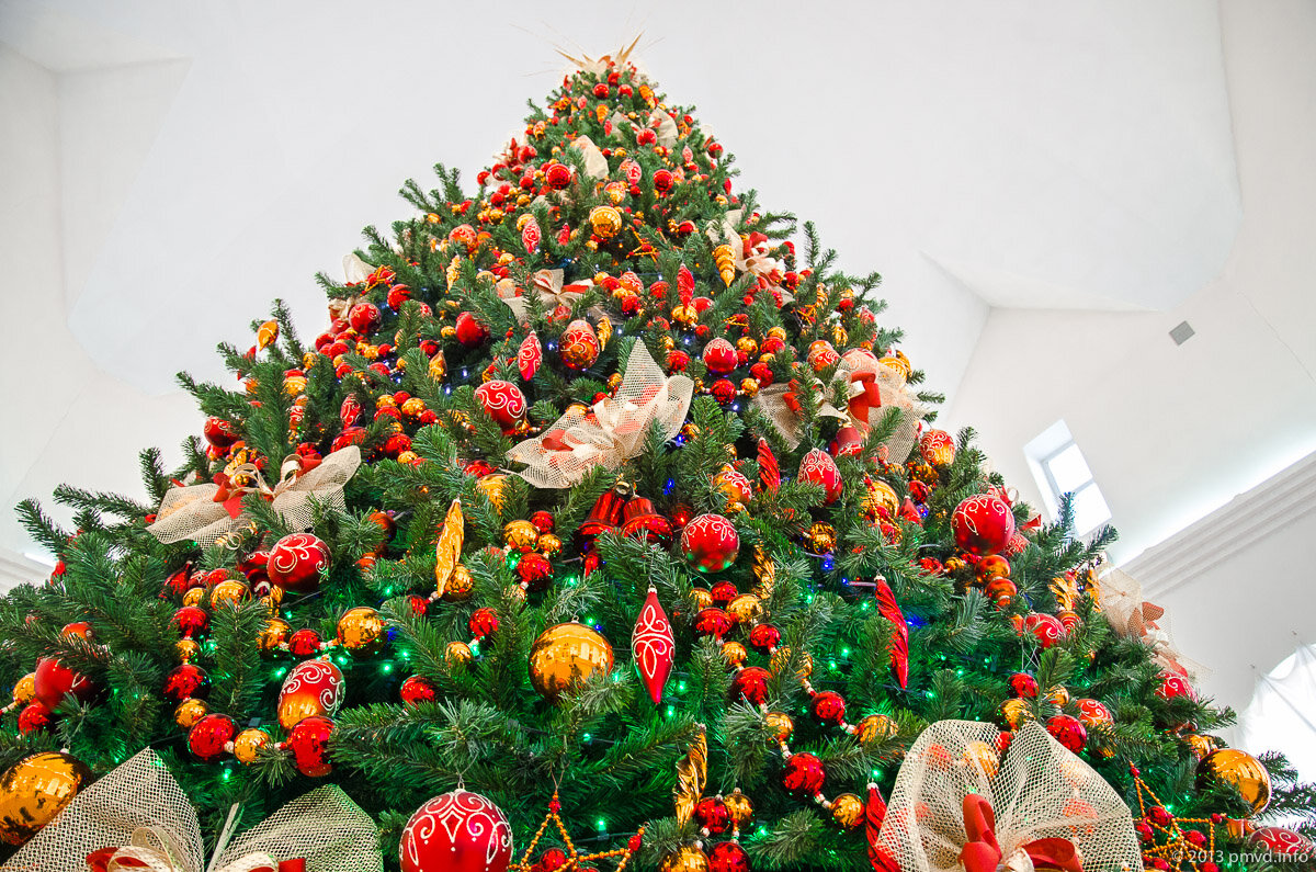 Источник: http://pmvd.info/ru/yolochka/