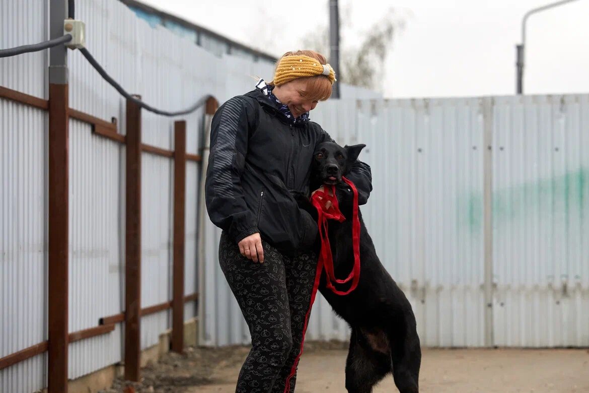 Животные считывают наше настроение. Поэтому и для них прогулка будет радостнее, если вы будете гулять с удовольствием