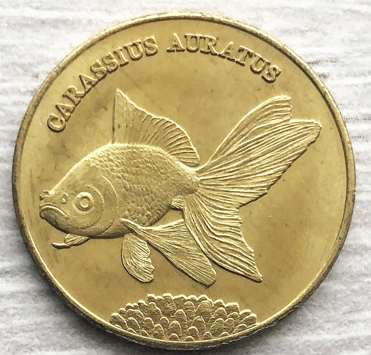 Малуку 5 рупий 2017 Золотая Рыбка. Фото автора.