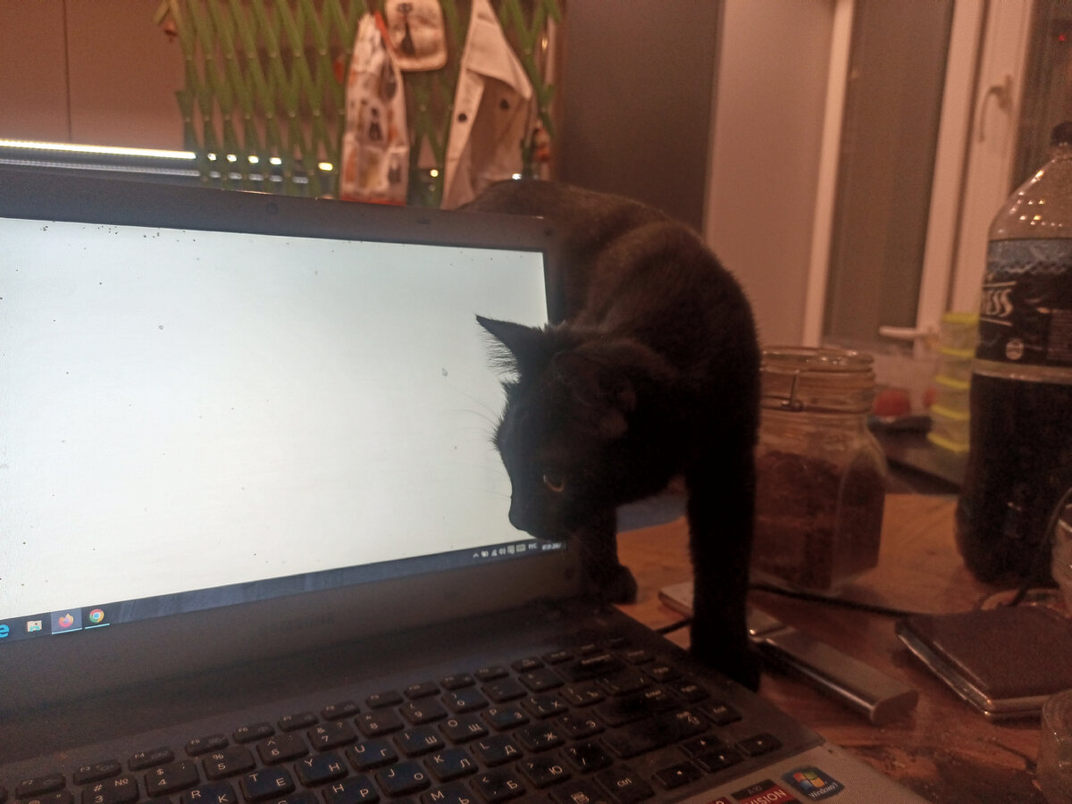 Кнопка помогает писать статью