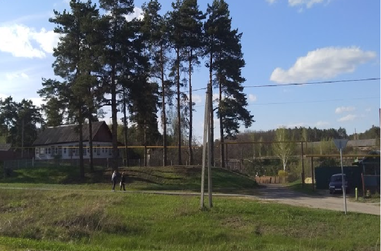 Сажать сосны рядом с домо нежелательно (Фото автора)