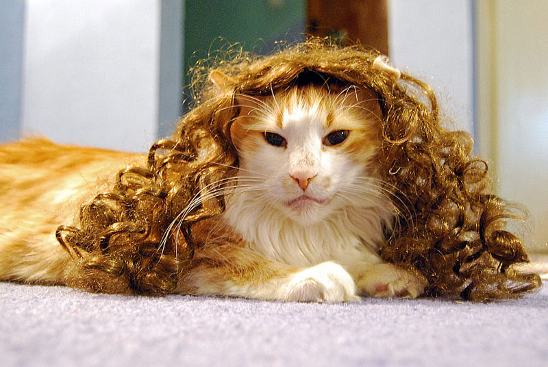 As vain Instagrammers abandon ugly animals, kinder pet owners proudly show off t
