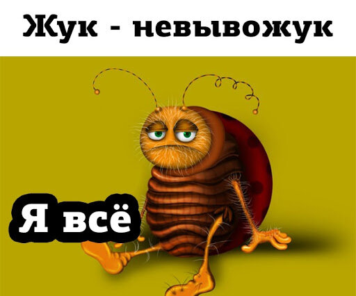 картинка с просторов интернета