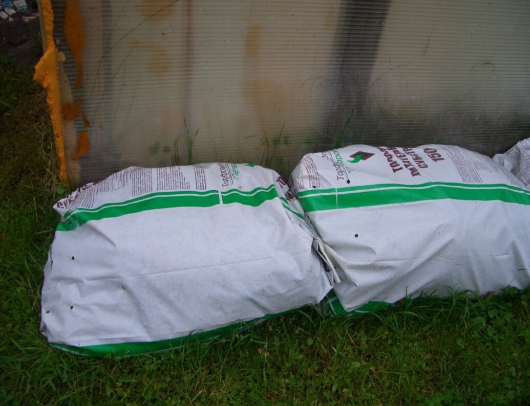 Вот такие мешки заложила в прошлом году. Именно те, что на фото обложки. 