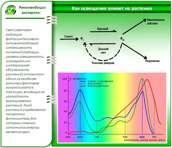 Освещение для теплицы: какую систему выбрать