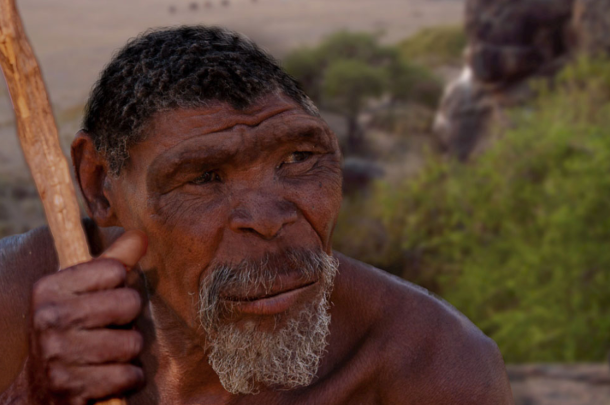 Homo erectus. Прогресс на лицо, вернее эволюция. Источник: https://www.ridus.ru