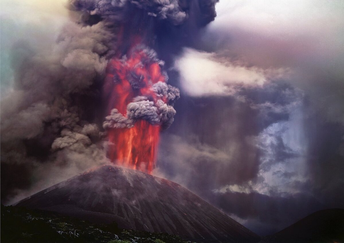 фото из интернета