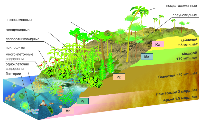 Эволюционный процесс у растений