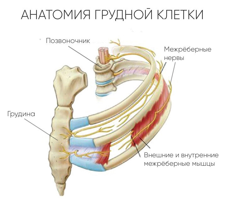 Изображение из Интернета