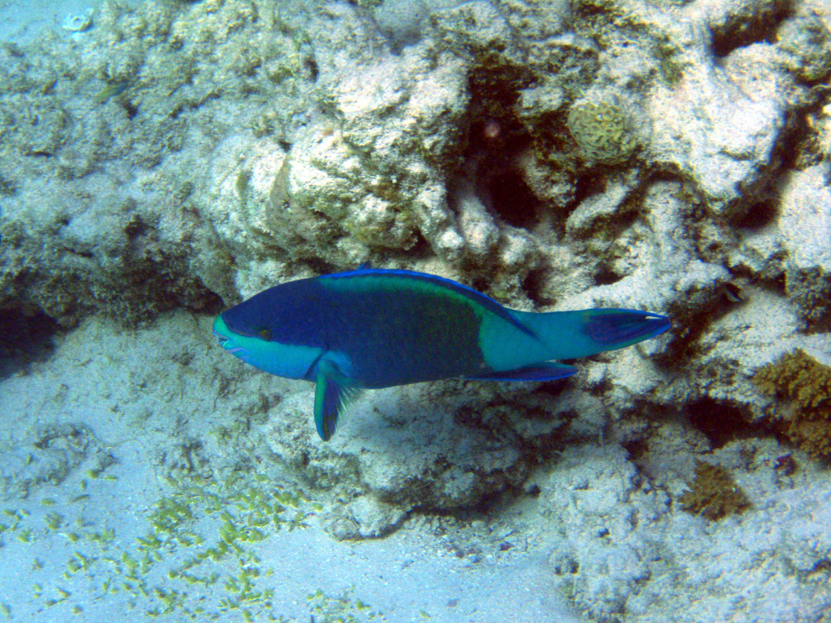 фото из личного архива