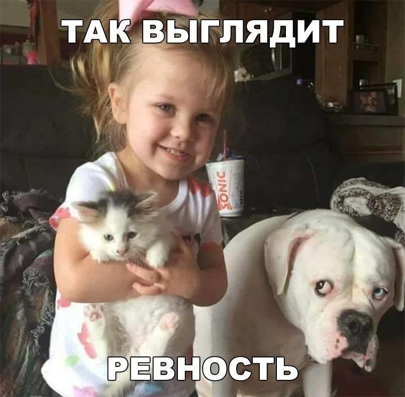 Фото: https://twitter.com/BelDiamant/status/1088006335223025665?s=19