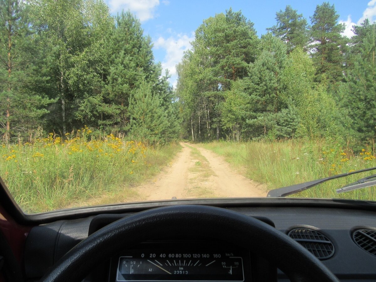 Когда въезжаешь в лес на Оке... )))