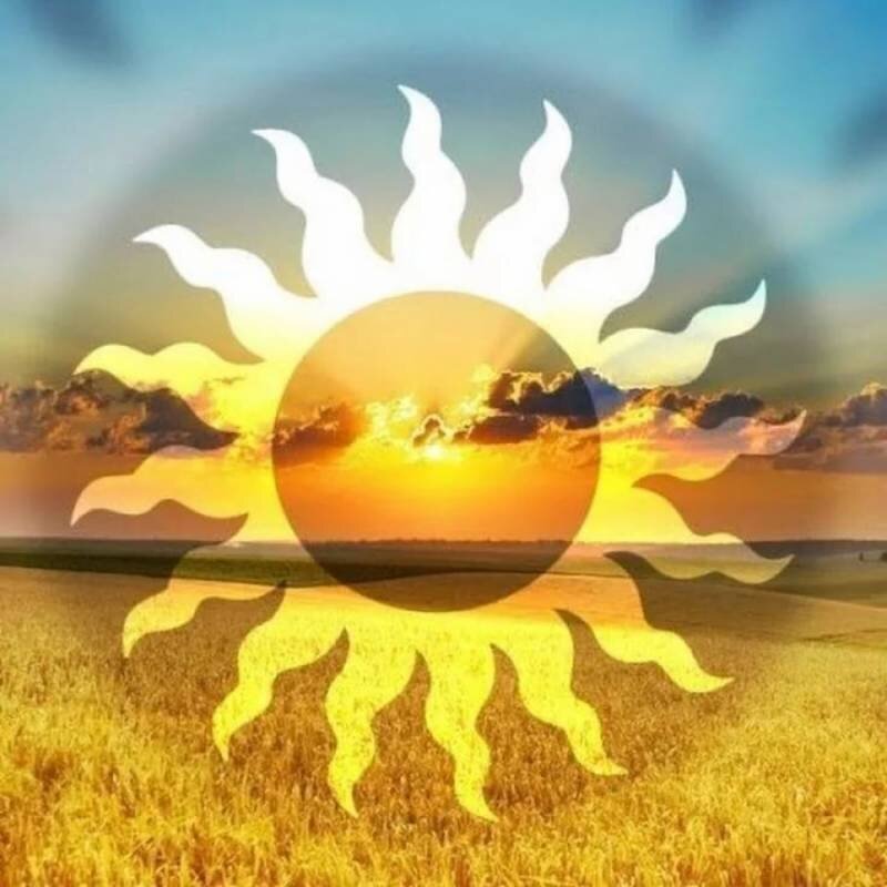 Фото: из открытых источников