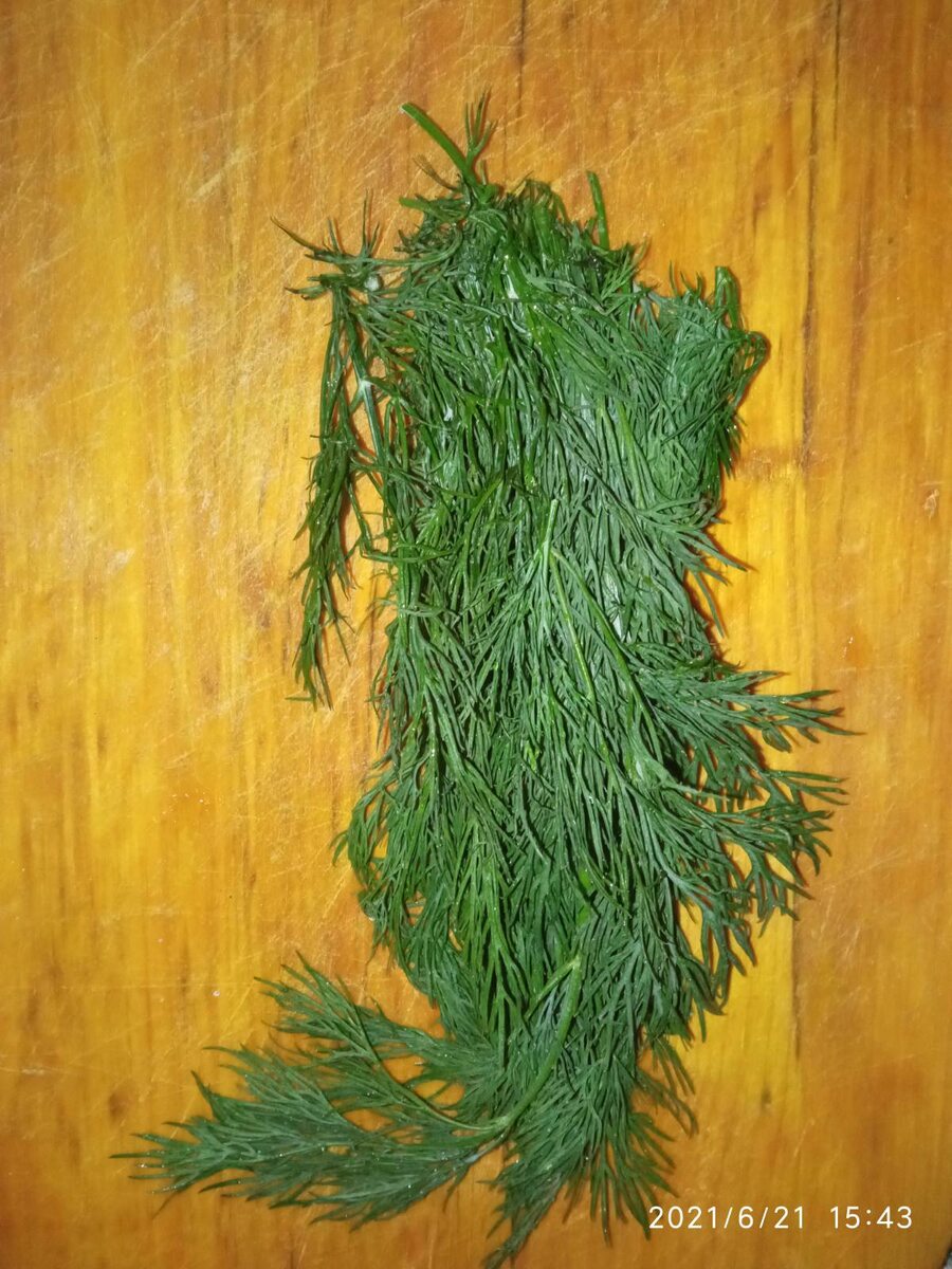 Фото автора. Смотрим галерею