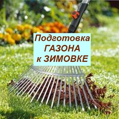 подготовка газона к зиме