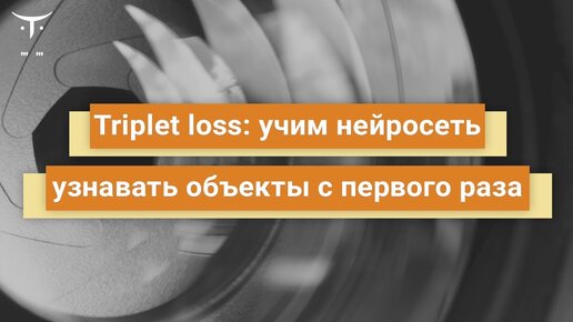 Triplet Loss  учим нейросеть узнавать объекты с первого раза // Бесплатный урок OTUS