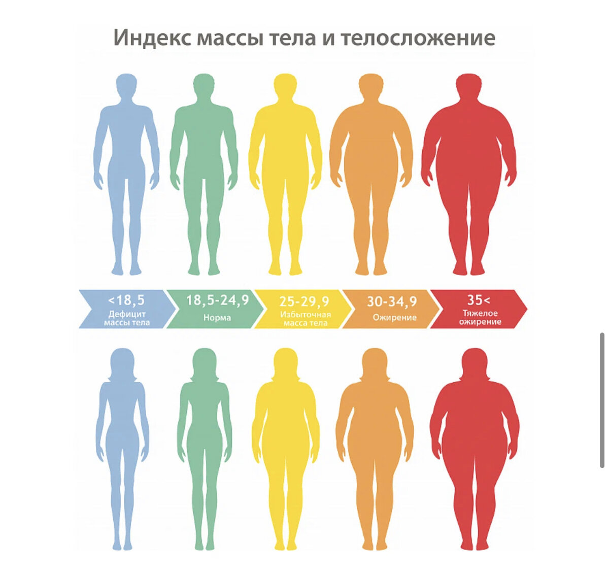 Вес мужчин после 50. Индекс массы тела. ИМТ рассчитать. Индекс массы тела для женщин. Индекс массы тела 29.