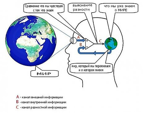 Субъективное восприятие промежутка времени человеком См рис. 1* 

Вся информации воспринимаемая человеком по каналу А, сравнивается с информацией канала В, поступающая из памяти мозга, который сравнивает и выбирает из памяти ту которая в тот момент совпадает с той которая ему уже хорошо известна (обыденная, ежедневная, ежегодная информация повторяющуюся и запомненную до мелочей в памяти) и если они практически совпадают, мозг корректирует ее так чтобы разность ее в и известной была близка к нулю в канале С, тогда мозг воспримет это как отсутствие информации поступающей извне, и соответственно время в течении которого она воздействует будет ощущаться как близкое к нулю. Это еще подтверждает выдержка из книги «…мозг не хочет тратить силы на то что-то уже известное.»**
Если поступает новая информация, которой нет в памяти то она полностью поступает в канале С и в мозг, при этом в памяти запоминается она и время ее действия. К концу дня мозг вспоминает только новую информацию, причем как ее сумму, и соответственно сумму времени ее действия, т.к. обыденная информация не запоминается, то и время ее действия мозг не фиксирует в памяти. В старости, когда у людей резко уменьшается объем новой поступающей информации, и они замыкаются в своем мире, то разность ее и известной будет близка к нулю и тогда соответственно время в течении которого она воздействует будет ощущаться как близкое к нулю, т.е. в сумме будет субъективно восприниматься, как будто время ускоряет свой бег в старости