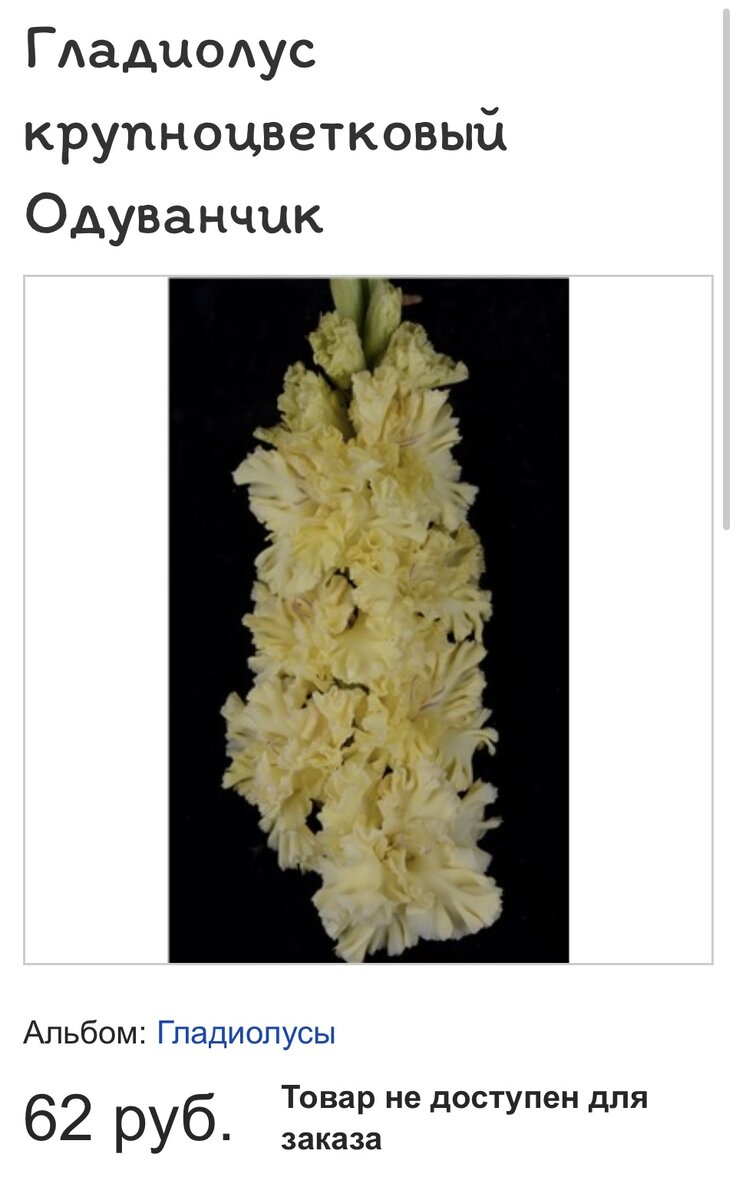 в инет - магазинах нашла 3 шт за 440 р, итого 1 шт 146 рублей. В сз мне луковица стоила 71 руб 30 коп