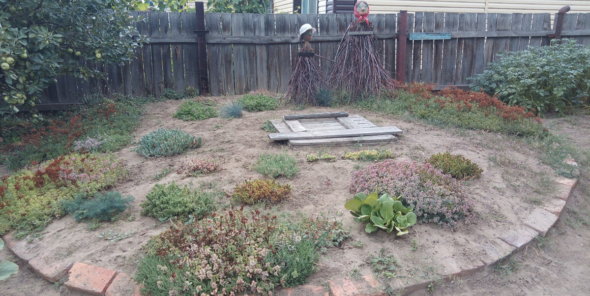 Погреб  лето  2022 г.