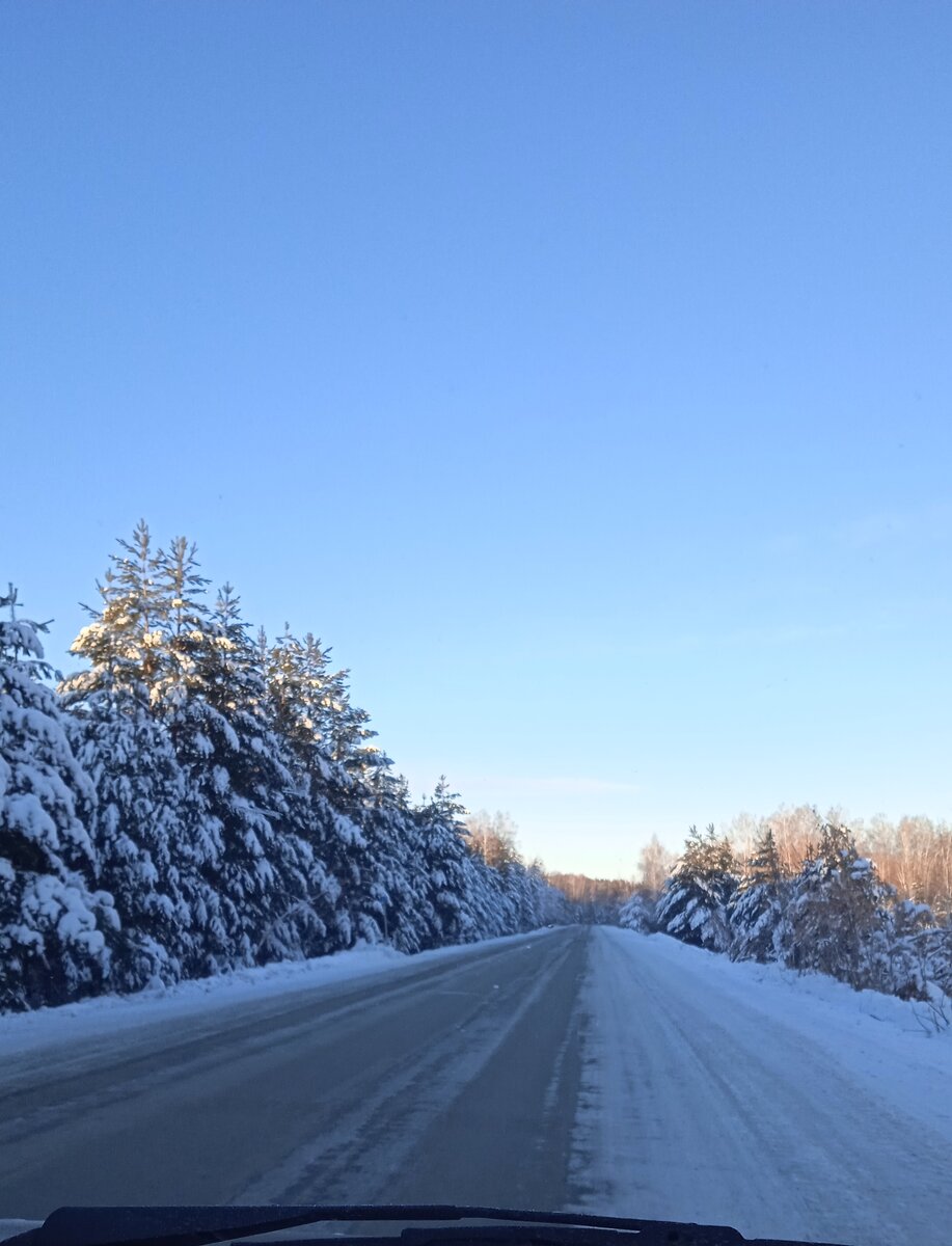 Зимний смешанный лес.