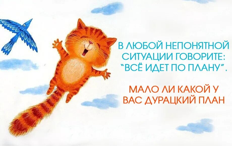 Все идет строго по плану
