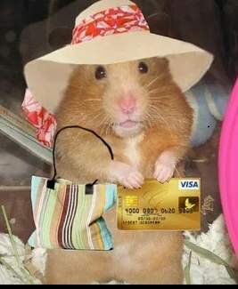 Симулятор готов! 