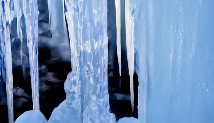    Как защитить озимые после ледяного декабрьского дождя