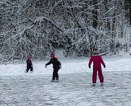 Застыло озеро, и нашлись (О. радость!) любители покататься на коньках.