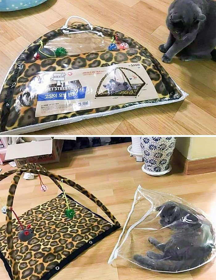 Посмеялся сам - поделись с другом!!!