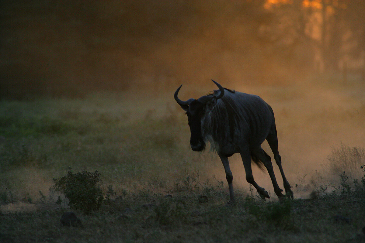 ФОТО: NIKOLAY IVASCHENKO/GLOBALLOOKPRESS