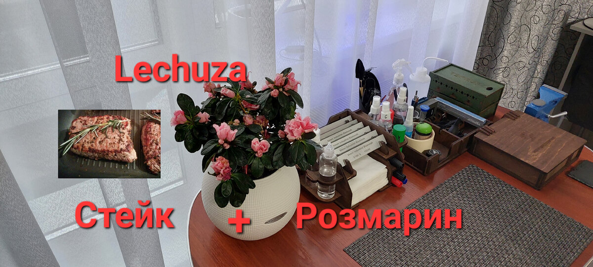 Теперь стол для заточки по совместительству является и столом по уходу за растениями