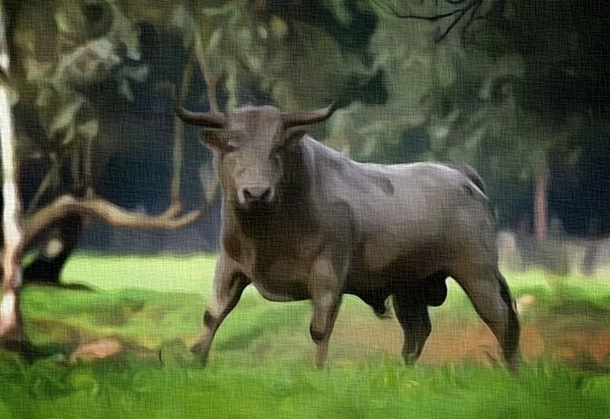 Ставьте лайк и подписывайтесь на мой канал:)