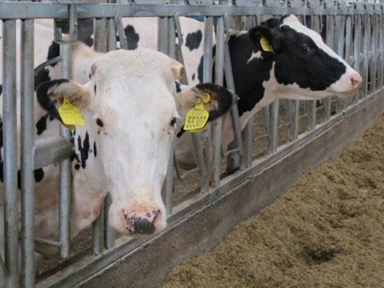     фото правительства нсо