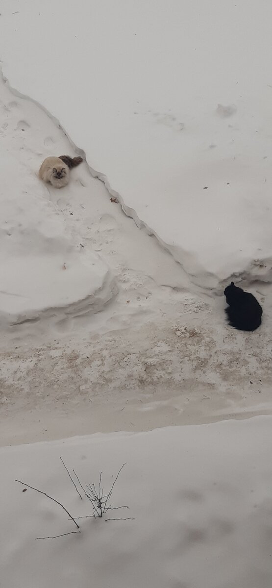 Администраторы базы "Лазурит"