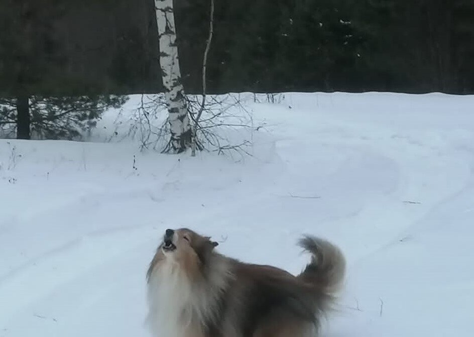 Охранник. фото автора