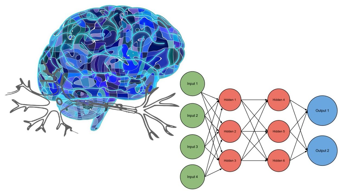 Предсказания нейронной сети. Искусственная нейронная сеть. Нейронные сети это в информатике. Искусственные нейросети. Нейронные связи.