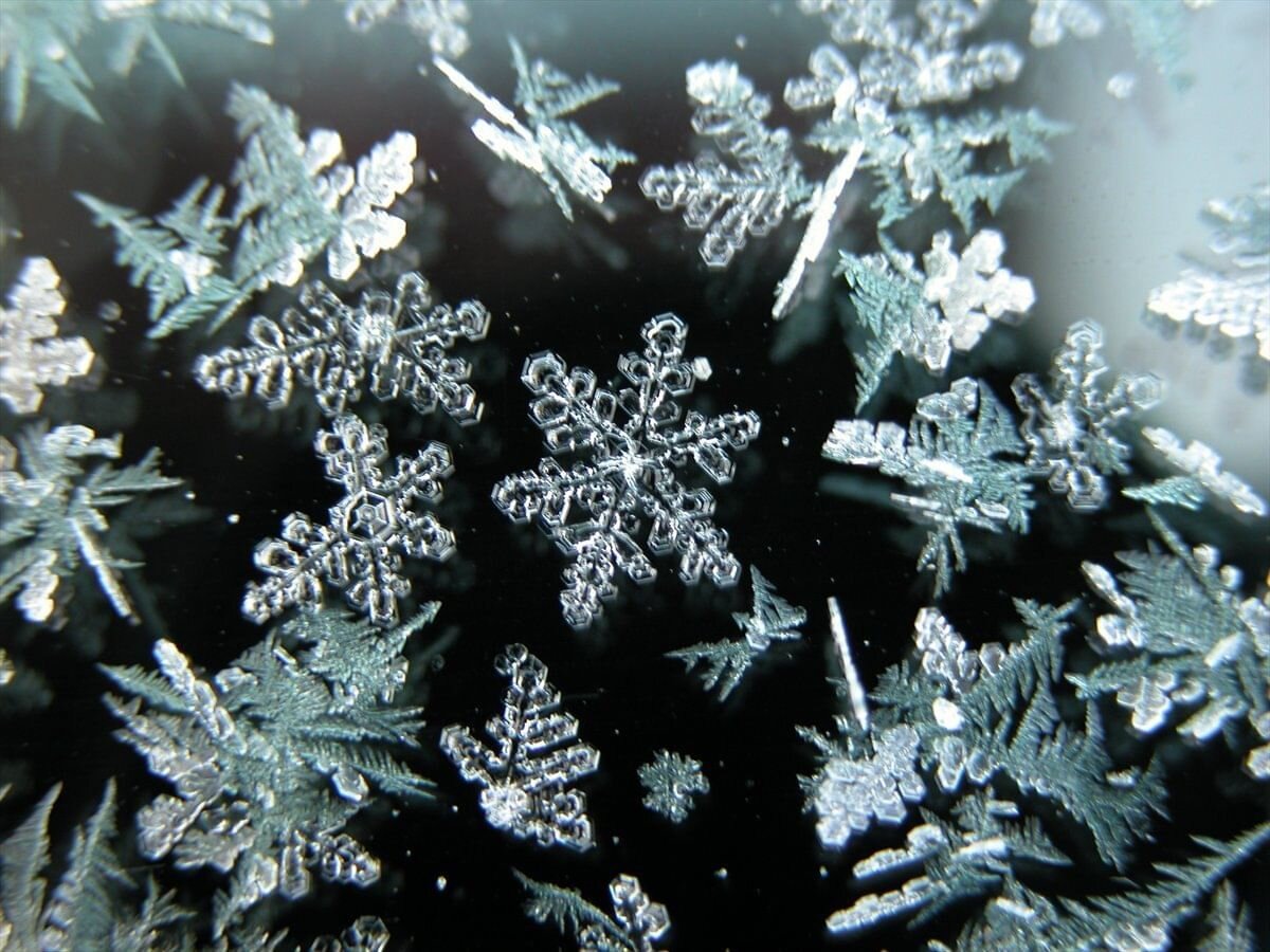 Снежинки — это уникальные и завораживающие кристаллические структуры с десятками причудливых «ветвей», которые тянутся наружу, как руки, тянущиеся к небу.-2
