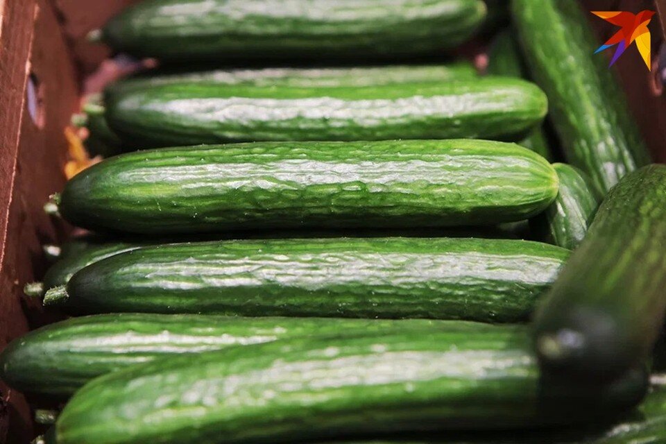     Стало известно, в каких белорусских магазинах огурцы можно купить менее чем за 7 рублей. Юлия Хвощ