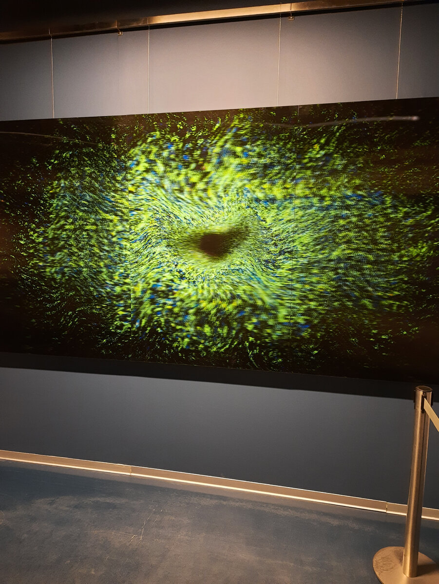 Это 4Д картина,  хотелось ее потрогать все время. 