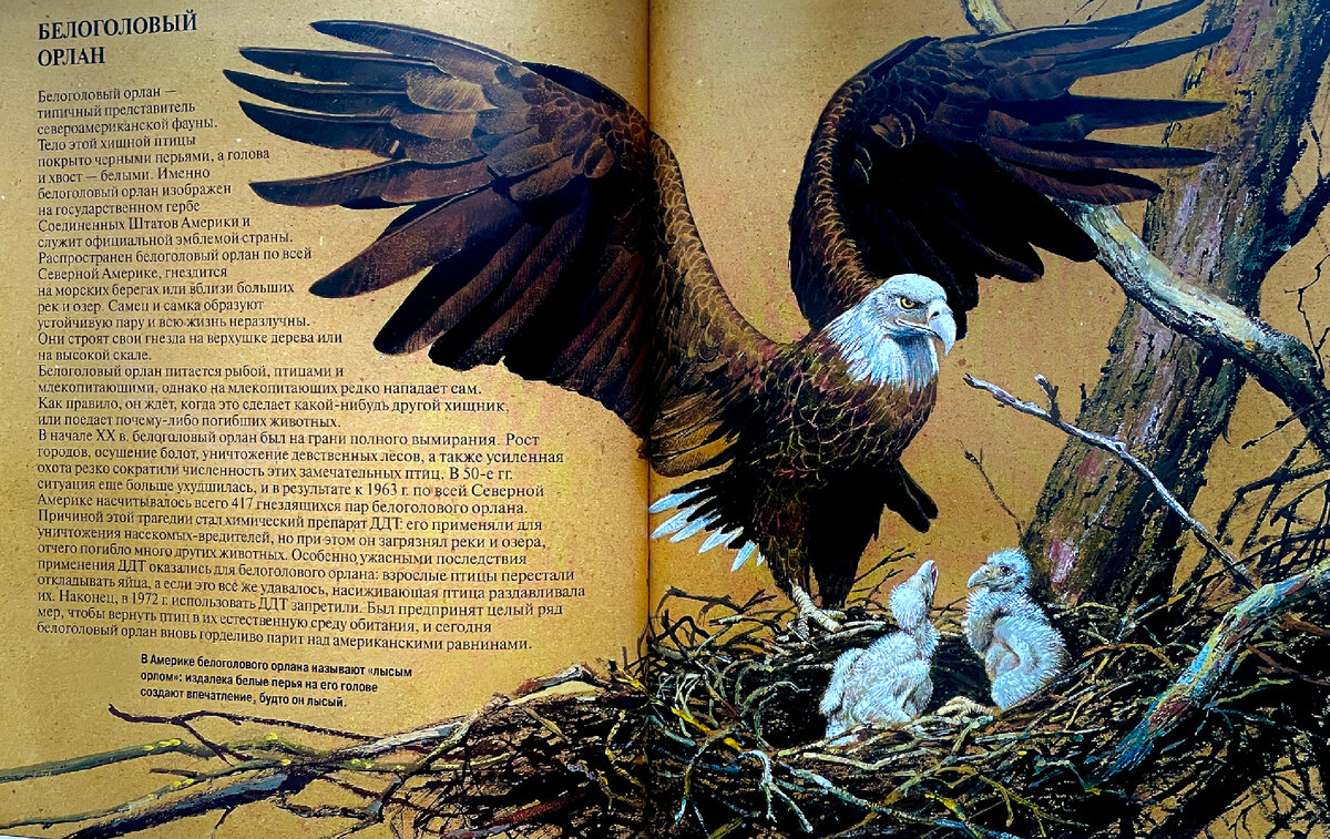 Фото разворота книги. Моё кстати