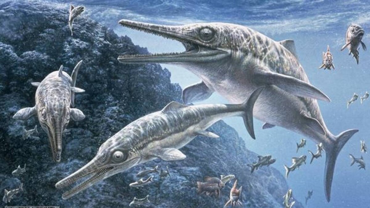 Фото с сайта https://www.pulseheadlines.com/wp-content/uploads/2017/10/ichthyosaur_1-1280x720.jpg