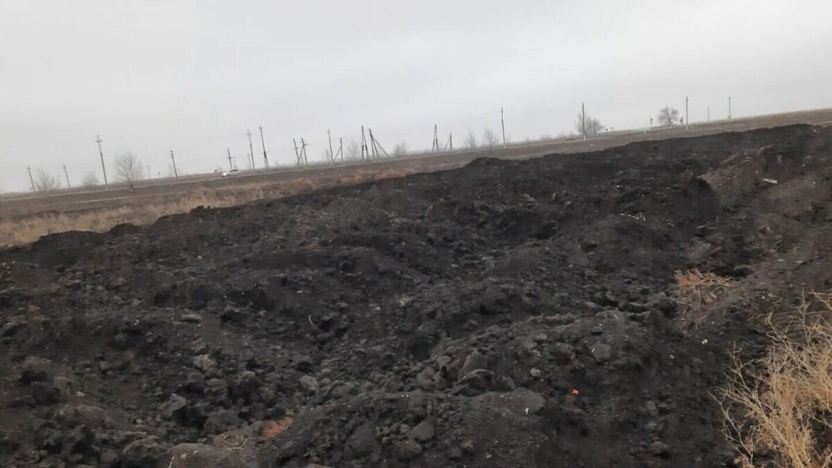     Росприроднадзор через суд обязал АО «Птицефабрика «Волжская» выплатить 1,2 миллиона рублей за причинение вреда почве. Предприятие незаконно завалило участок земли куриным пометом.