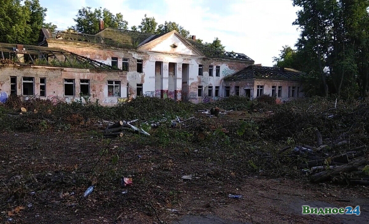 Фото: Сергей Полянский / ВКонтакте