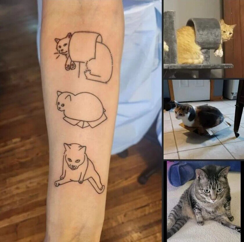    Так выглядят «кототату». Фото: Reddit
