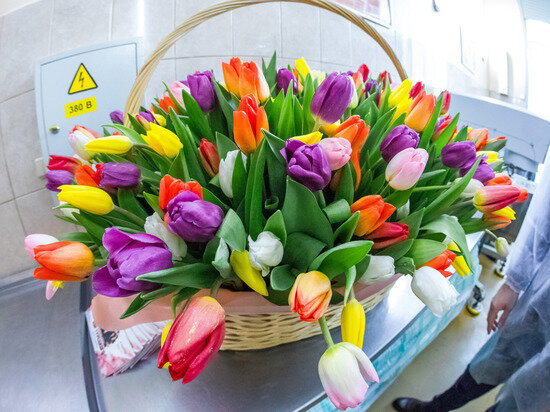     Фото Олега Каргаполова.