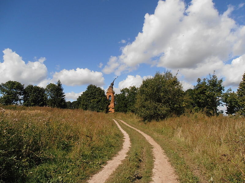 изображение из интернет