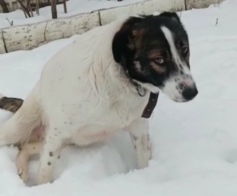 Валентинка всё еще верит в людей!